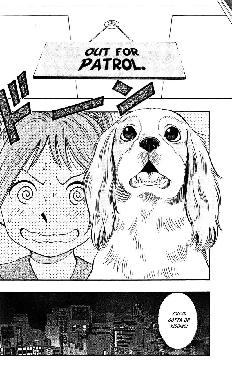 Animal Sense Chapter 7 9